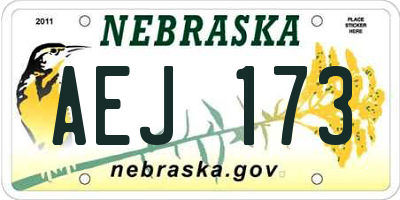NE license plate AEJ173