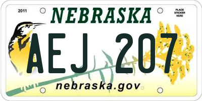 NE license plate AEJ207