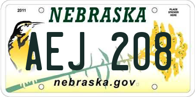NE license plate AEJ208
