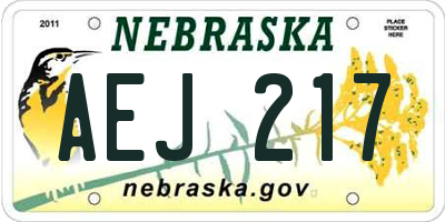 NE license plate AEJ217
