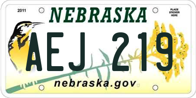NE license plate AEJ219