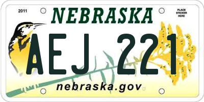 NE license plate AEJ221