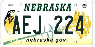 NE license plate AEJ224