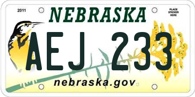 NE license plate AEJ233