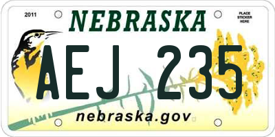 NE license plate AEJ235