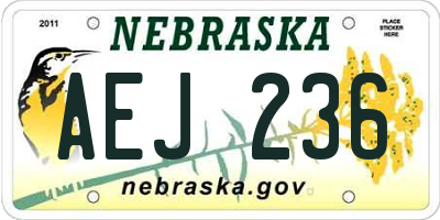 NE license plate AEJ236