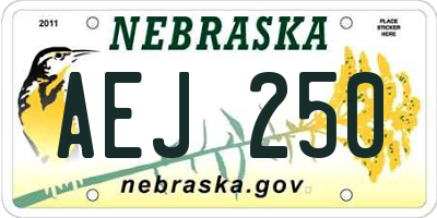 NE license plate AEJ250