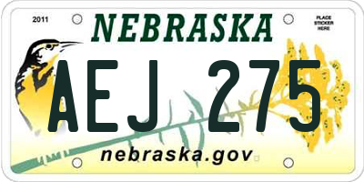 NE license plate AEJ275