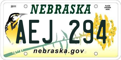 NE license plate AEJ294