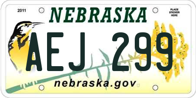 NE license plate AEJ299