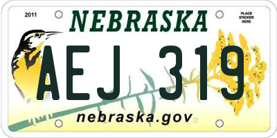 NE license plate AEJ319