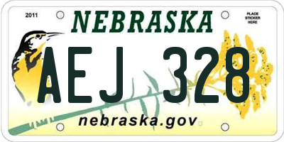 NE license plate AEJ328