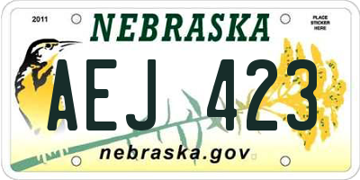 NE license plate AEJ423
