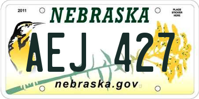 NE license plate AEJ427