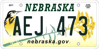 NE license plate AEJ473