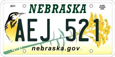 NE license plate AEJ521