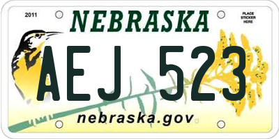 NE license plate AEJ523