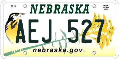 NE license plate AEJ527