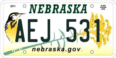 NE license plate AEJ531