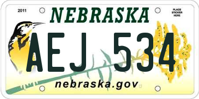 NE license plate AEJ534