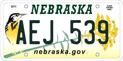 NE license plate AEJ539
