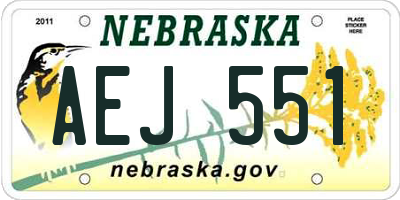 NE license plate AEJ551