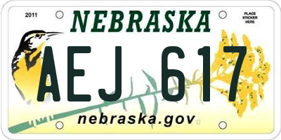 NE license plate AEJ617