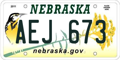 NE license plate AEJ673