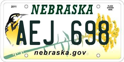 NE license plate AEJ698