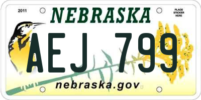 NE license plate AEJ799