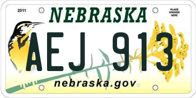 NE license plate AEJ913