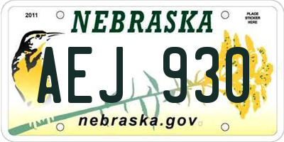 NE license plate AEJ930