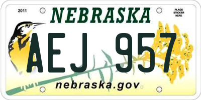 NE license plate AEJ957
