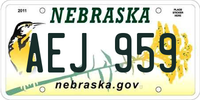 NE license plate AEJ959