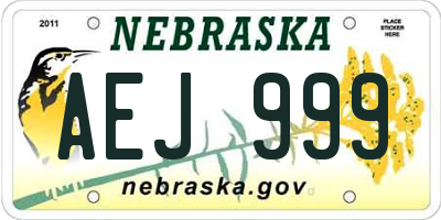 NE license plate AEJ999