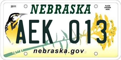 NE license plate AEK013
