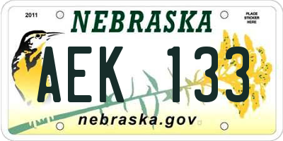 NE license plate AEK133