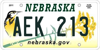 NE license plate AEK213