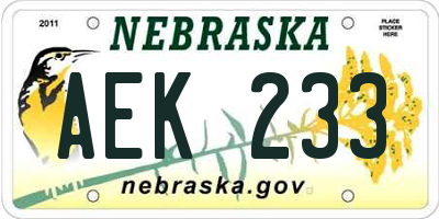 NE license plate AEK233