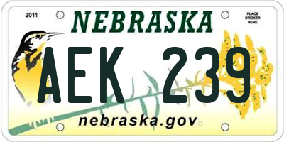 NE license plate AEK239