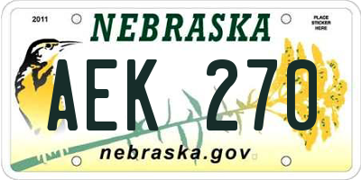 NE license plate AEK270
