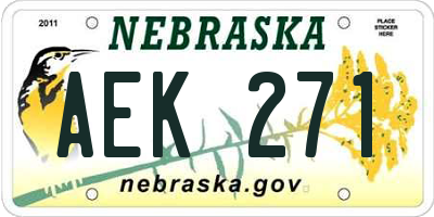 NE license plate AEK271