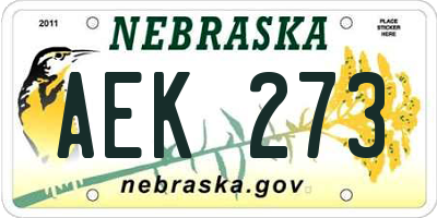 NE license plate AEK273