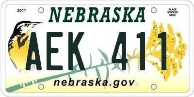 NE license plate AEK411