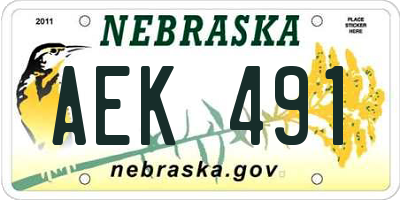 NE license plate AEK491