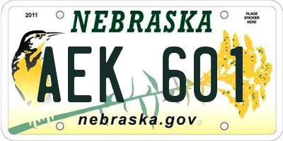 NE license plate AEK601
