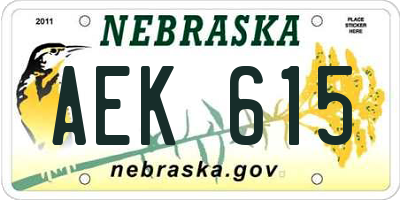 NE license plate AEK615