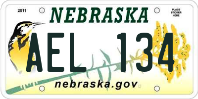 NE license plate AEL134
