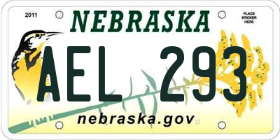 NE license plate AEL293