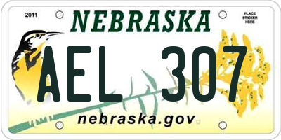 NE license plate AEL307